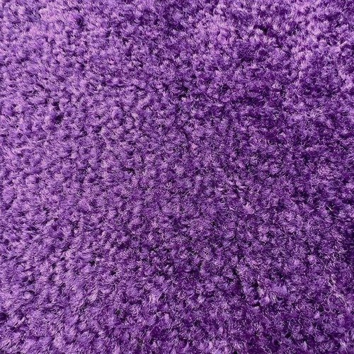 Purple Carpet Rentals
